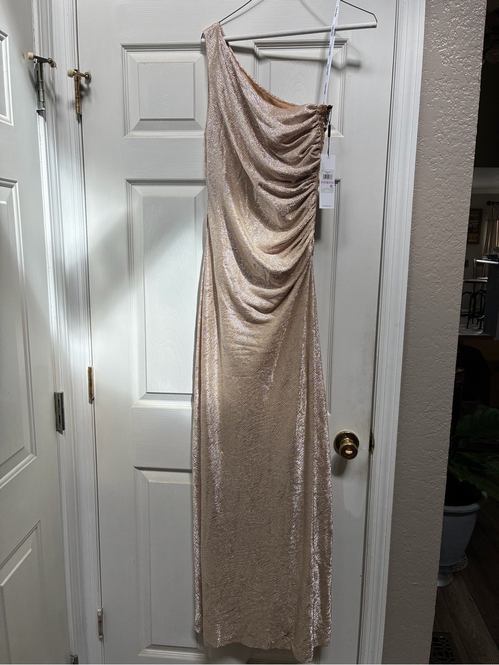 Calvin Klein One-Shoulder Champagne Evening Gown